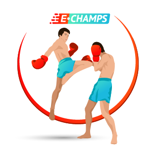 Кикбоксинг, Kickboxing, e-Champs