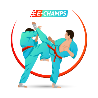 Восточное боевое единоборство, Oriental Marial Arts, e-Champs