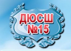 Логотип организации МБУ ДО ДЮСШ №15 г. Томска