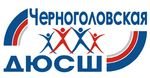 Логотип организации Черноголовская Детско-юношеская спортивная школа