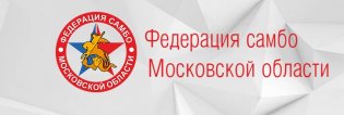 Логотип организации РОО «Федерация самбо Московской области»