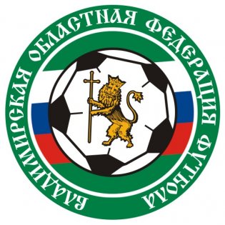 Логотип организации Общественная организация "Владимирская областная федерация футбола"