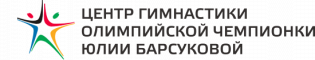 Organization logo Центр гимнастики Олимпийской чемпионки Юлии Барсуковой (филиал Сочи)