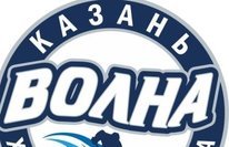 Логотип организации МОУ ДОД "ДЮСШ "ВОЛНА"" г. Казани