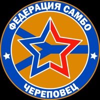 Логотип организации ЧГОО "Федерация самбо"