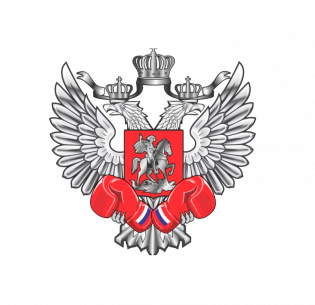 Organization logo ЧРОО «Федерация олимпийского бокса Челябинской области»
