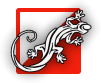 Organization logo ЧРОО «Федерация спортивного ориентирования Челябинской области»
