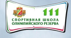 Organization logo ГБУ «СШОР № 111» Москомспорта