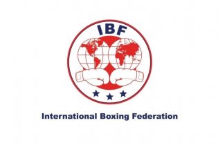 Organization logo IBF (Международная боксёрская федерация)