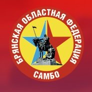 Organization logo БР ФСОО «Брянская областная федерация самбо»