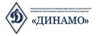 Логотип организации Брянская РО ОГО ВФСО «Динамо»
