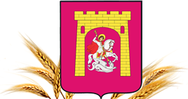 Логотип организации Комитет ФКиС администрации Георгиевского городского округа Ставропольского края