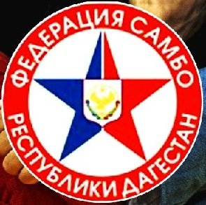 Логотип организации Дагестанская РОО «Федерация самбо»