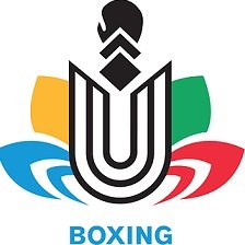 Логотип организации Общественная организация «Федерация бокса Республики Калмыкия»