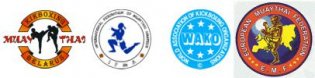 Логотип организации Белорусская федерация кикбоксинга и таиландского бокса
