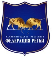 Логотип организации Калининградская РОО «Калининградская областная федерация регби»
