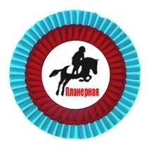 Organization logo МАУ «СШ по конному спорту «Пони спорт - «Планерная»