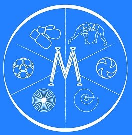 Логотип организации МАУ СШ «Металлист»