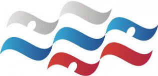 Логотип организации Федерация плавания Архангельской области