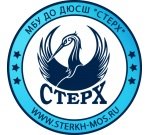 Логотип организации МБУ ДО ДЮСШ «СТЕРХ»