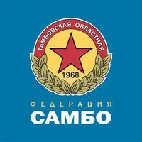 Логотип организации Тамбовская РОО "Федерация самбо"