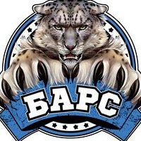 Логотип организации Спортивный Клуб "Барс"