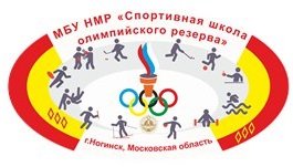 Organization logo МБУ НМР «СШОР»