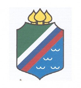 Логотип организации МАУ «СШОР г. Бронницы им. А. Сыроежкина»