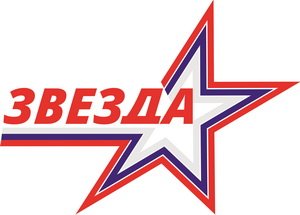 Логотип организации МБУ «Боровская СШ «Звезда»