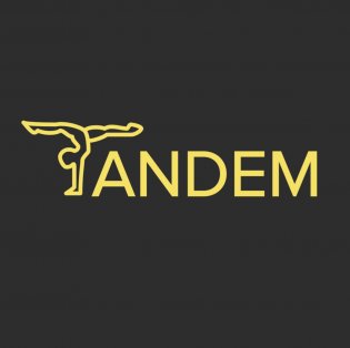 Логотип организации Центр художественной гимнастики «Тандем»