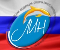 Organization logo ООО «Всероссийская федерация спорта лиц с интеллектуальными нарушениями»