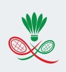 Логотип организации РОО «Федерация бадминтона Республики Татарстан»