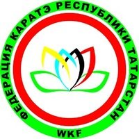 Логотип организации РСОО «Федерация каратэ Республики Татарстан»