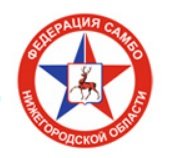 Логотип организации РОО «Федерация самбо Нижегородской области»