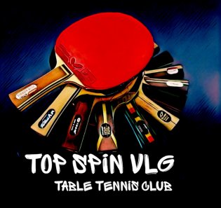 Логотип организации TopSpinVlg
