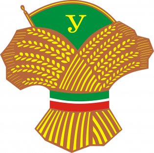Логотип организации ФСО «УНЫШ»