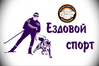 Логотип организации Федерация ездового спорта Сахалинской области