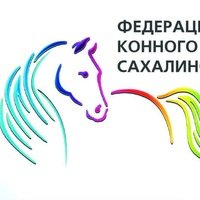 Логотип организации Федерация конного спорта Сахалинской области