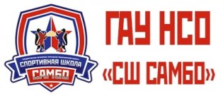 Логотип организации ГАУ НСО "СШ самбо"