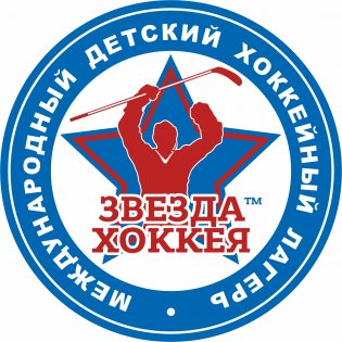 Логотип организации Звезда хоккея