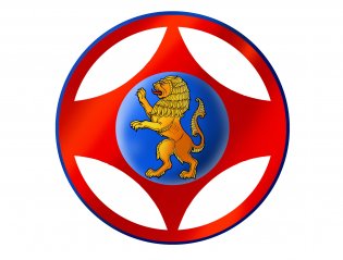 Логотип организации Белгородская МОО "Федерация Киокусинкай"