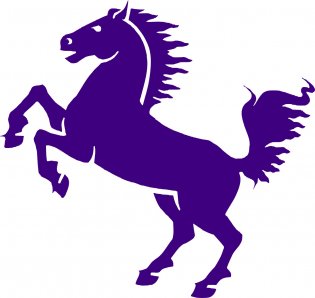 Логотип организации ОО "Федерация конного спорта Новгородской области"