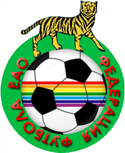 Логотип организации ООО "Федерация футбола Еврейской автономной области"