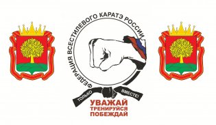 Organization logo Региональное отделение "Федерации Всестилевого Каратэ России" в Липецкой области