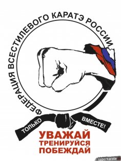 Логотип организации ВРФСОО "Всестилевое каратэ Владимирской области"