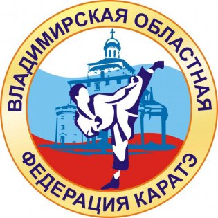 Логотип организации РСОО "Владимирская областная федерация каратэ"