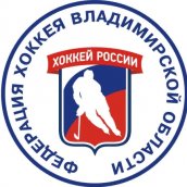Логотип организации РОО "Федерация хоккея Владимирской области"