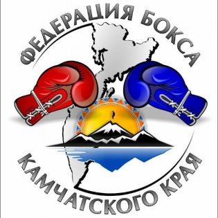 Логотип организации РОО "Федерация бокса Камчатского края"