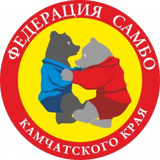 Логотип организации РДЮОО "Федерация самбо Камчатского края"