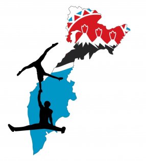 Логотип организации РОДМФСО "Федерация Спортивной Акробатики Камчатского Края"